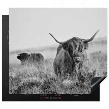 Protection plaque induction - Highlander écossais en monochrome