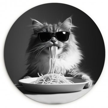 Chat à poil long - Lunettes de soleil - Spaghetti - Humour - Noir - blanc