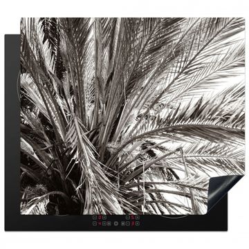 Protection plaque induction - Toit de palme monochrome